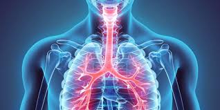 Respiratory Physiotherapy at Essendon Physio Group